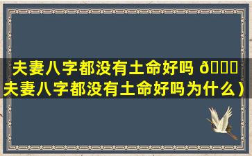 夫妻八字都没有土命好吗 🐈 （夫妻八字都没有土命好吗为什么）